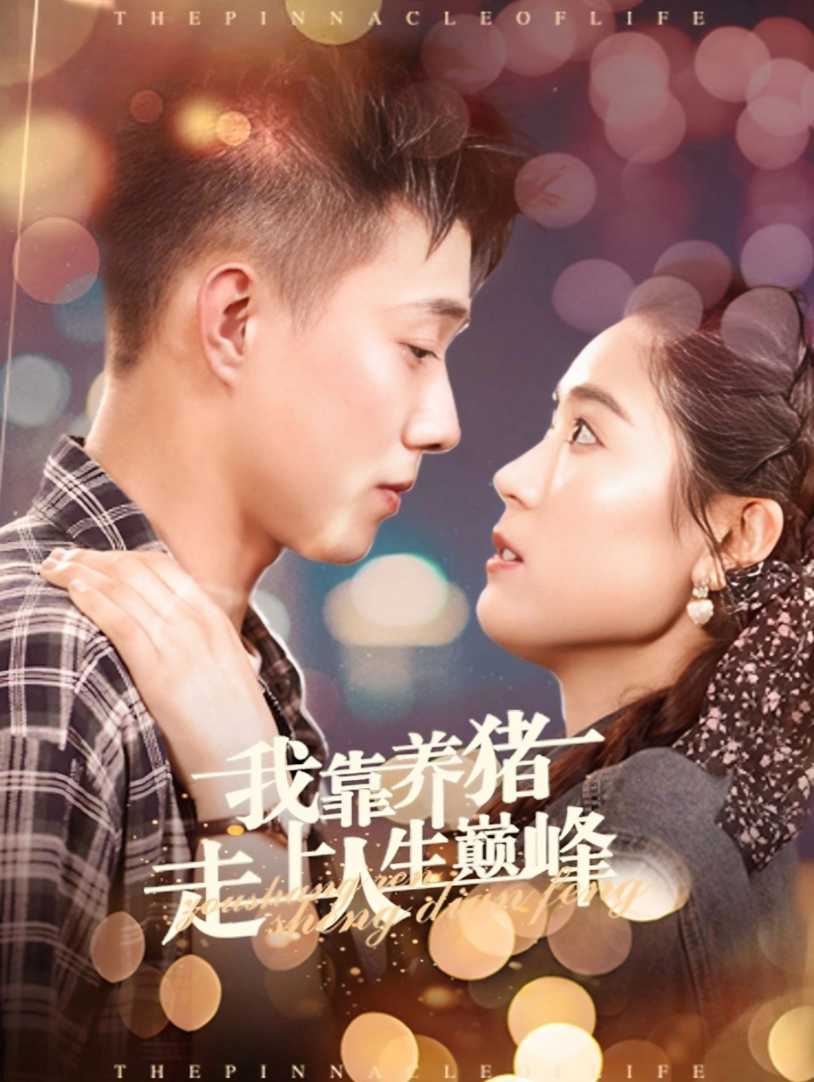 我靠养猪走上人生巅峰 第21集