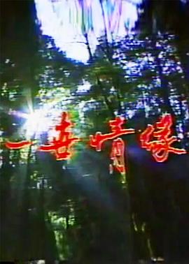 一世情缘(全集)